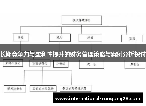 长期竞争力与盈利性提升的财务管理策略与案例分析探讨