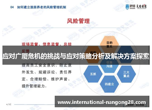 应对广厦危机的挑战与应对策略分析及解决方案探索
