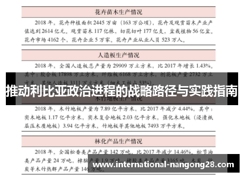 推动利比亚政治进程的战略路径与实践指南