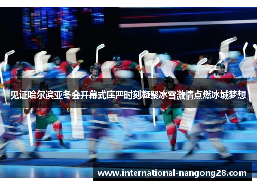 见证哈尔滨亚冬会开幕式庄严时刻凝聚冰雪激情点燃冰城梦想
