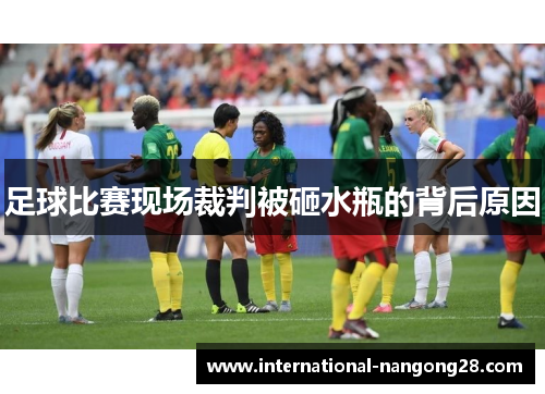 足球比赛现场裁判被砸水瓶的背后原因