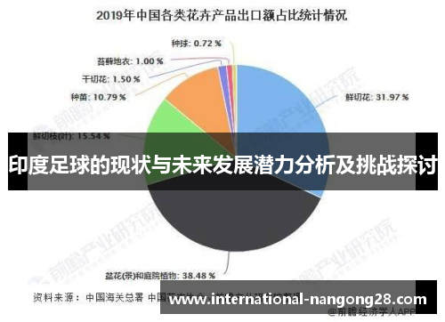 印度足球的现状与未来发展潜力分析及挑战探讨