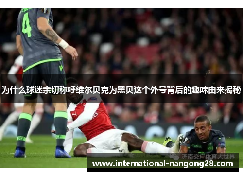 为什么球迷亲切称呼维尔贝克为黑贝这个外号背后的趣味由来揭秘 为什么球迷亲切称呼维尔贝克为黑贝这个外号背后的趣味由来揭秘